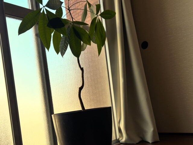 Bloom訪問看護ステーションの外観