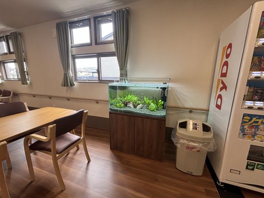 生き生きとした水槽のある部屋