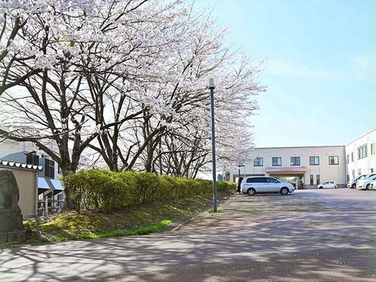 桜並木の外観  