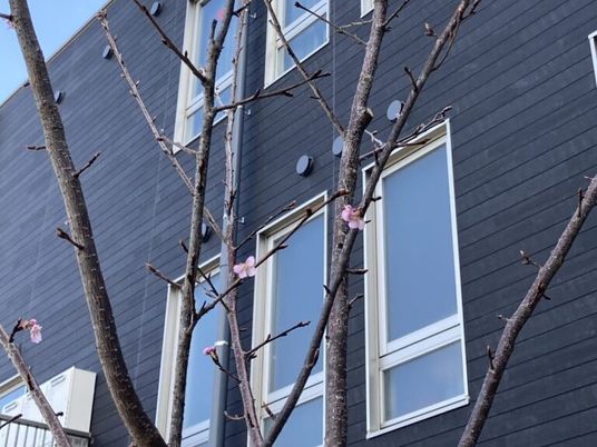 建物外観と桜の枝外観  