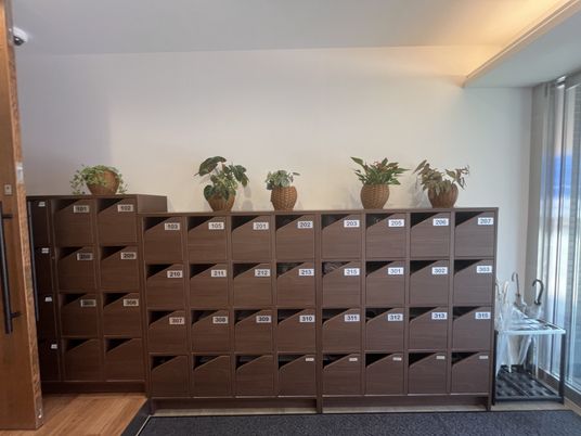 植物が置かれた棚