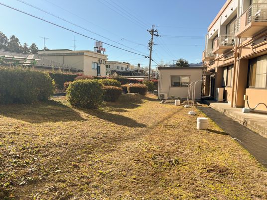 日差しのある庭