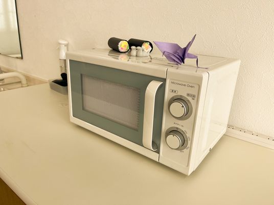 電子レンジが置かれた台所