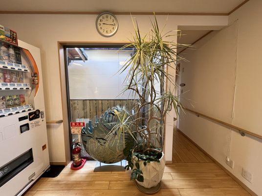 階段の手前にある植物