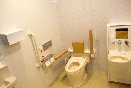 安全な設備のトイレ
