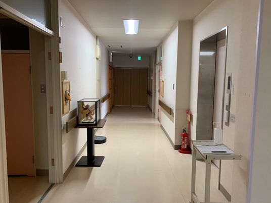 落ち着いた雰囲気の廊下