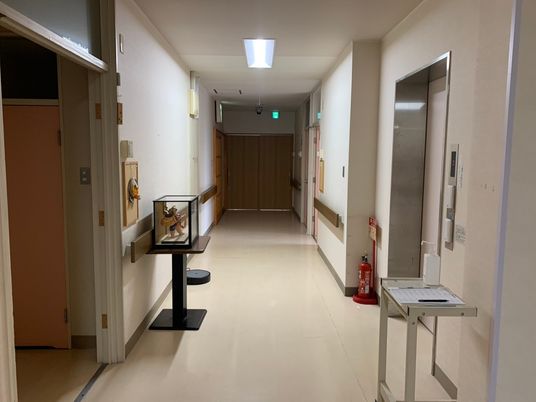 落ち着いた雰囲気の廊下