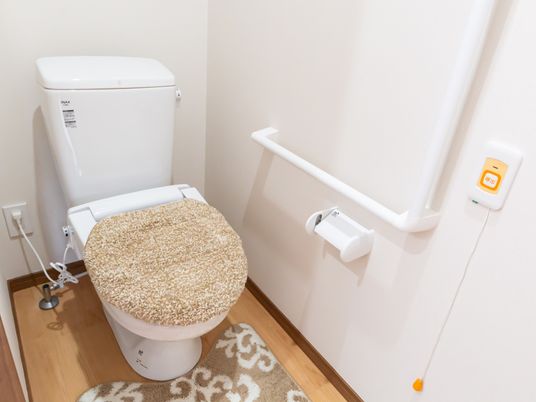 手すり付きの清潔なトイレ