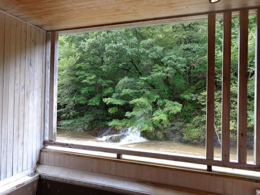 木々に囲まれた明るい中庭