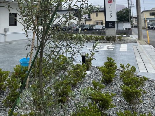 植栽のある外観  