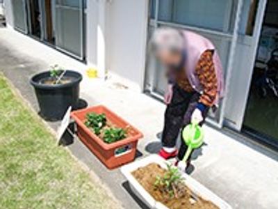 植物に水をやる様子