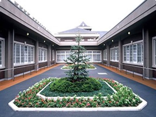 中庭の植栽  