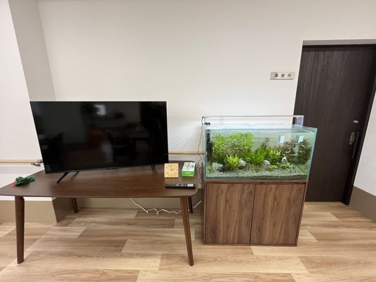 テレビと水槽のある場所