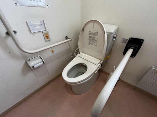 安全機能のあるトイレ