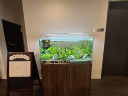 観賞魚が泳ぐ廊下
