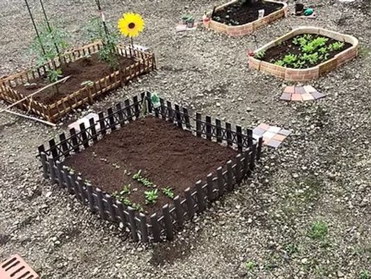 花壇のある庭  