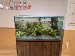 アクアリウムのある室内