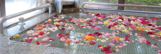 花が浮かぶ明るい浴室