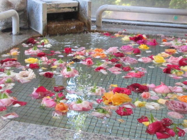 花が浮かぶ明るい浴室 浴室 さまざまな色の花がたっぷりと浮かべられ、穏やかで心和む浴室です。デイサービスなどでもお楽しみいただける光景です。