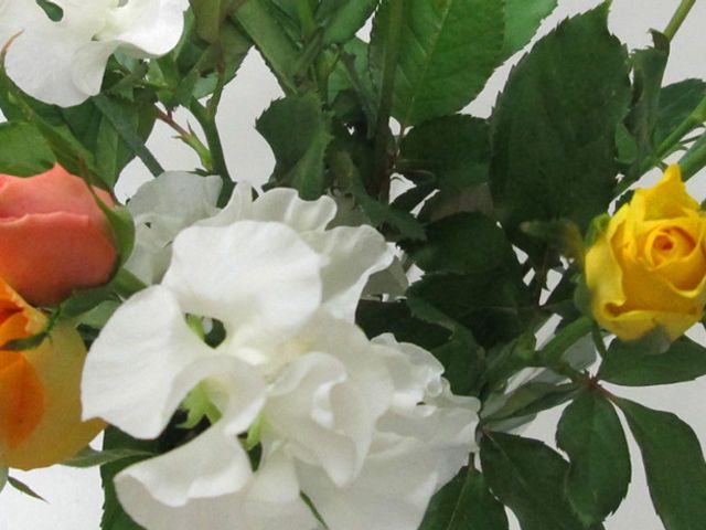 カラフルな花々のアレンジメント エントランス エントランスに飾られた鮮やかな花々は、訪れる方々を優しい気持ちで迎えてくれます。
