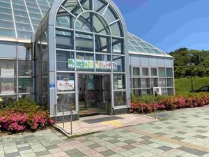 明るい温室の入口  