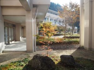 中庭の木々と建物  