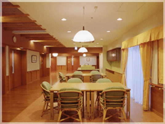 自然光が入る食堂