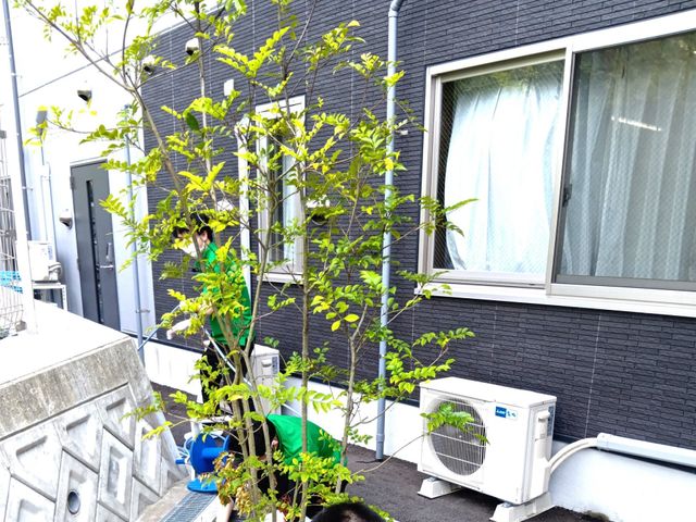 屋外清掃中の中庭 中庭   木々のある屋外スペースで、スタッフの方が清掃をしています。自然にふれられる環境があり、働く場としても落ち着いた雰囲気です。