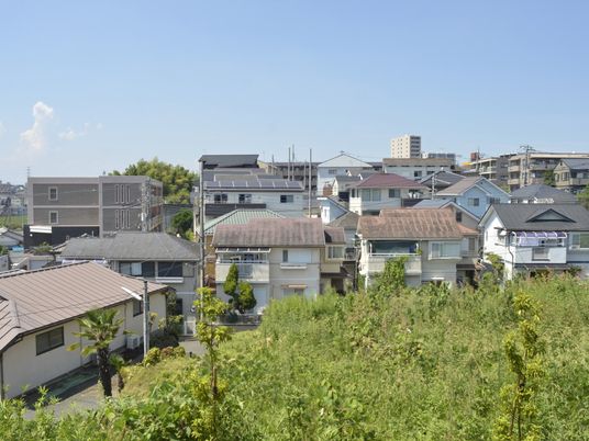 自然に囲まれた庭