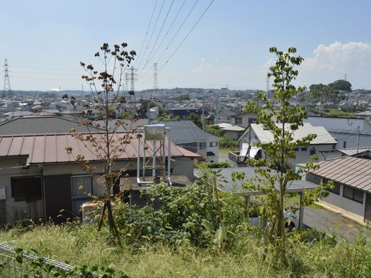 晴れた日の庭