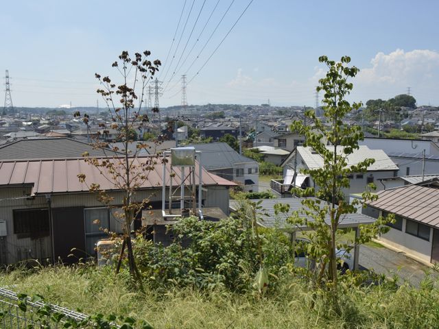 晴れた日の庭 庭 青空の下、庭から広がる眺望が楽しめます。リラックスしながら自然を感じる時間を提供します。