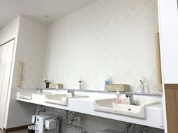清潔な洗面台の部屋
