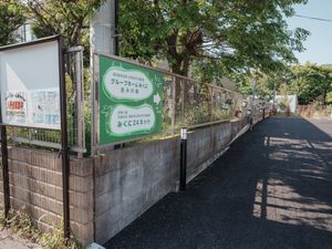 緑に囲まれた看板