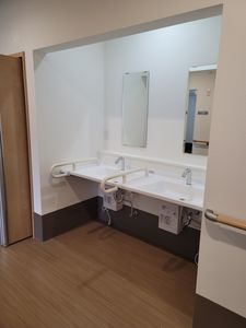 手すり付き洗面台