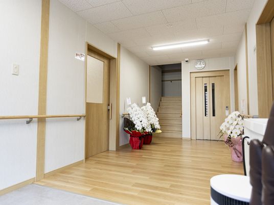明るい廊下の風景