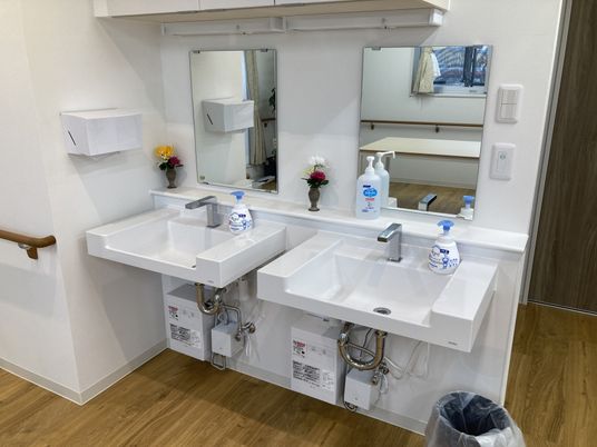 2つの洗面台がある洗面台