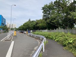 緑豊かな外観
