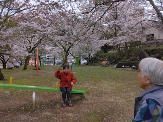 桜咲く庭の風景