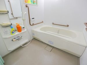 浴槽と洗い場の浴室  