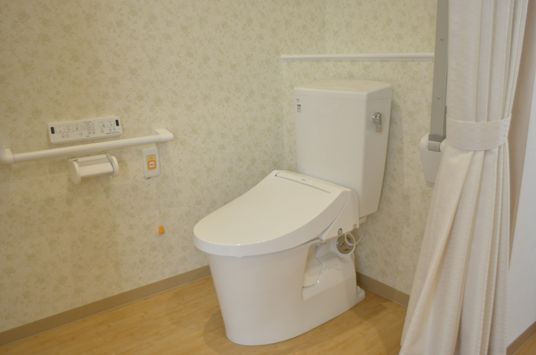 手すり付きの清潔なトイレ