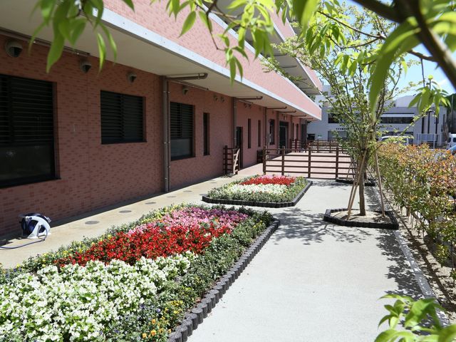 快適な散歩道の中庭 花壇 季節の花々が彩る中庭は、散策や憩いの時間を提供してくれる明るい場所です。温かな日差しの下では、新鮮な空気を満喫しながら穏やかな時を過ごせます。