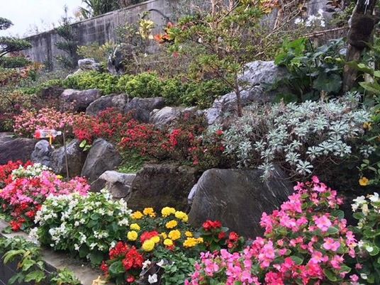 花壇のある庭  