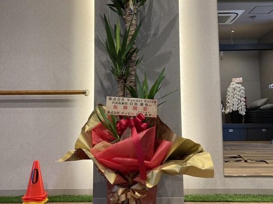 ロビーの観葉植物  