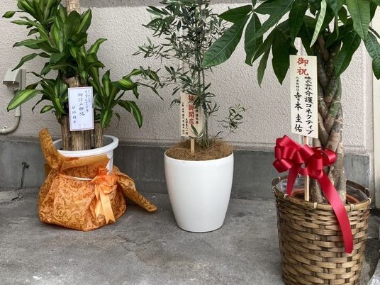 鉢植えの並ぶ玄関先  