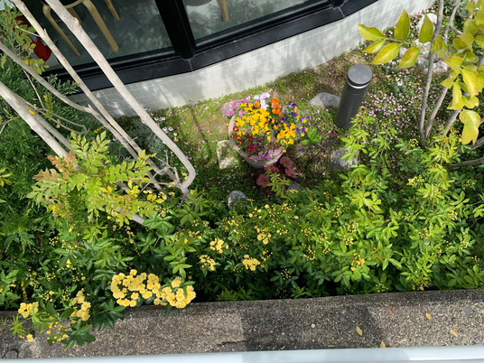 花壇の中庭  