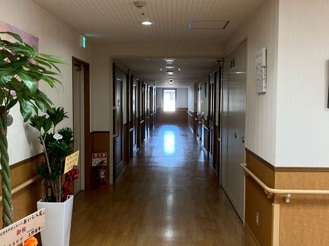 長い廊下 廊下 自然光が差し込む長い廊下です。清潔感があり、心地よい雰囲気です。
