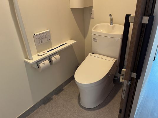 落ち着いた色合いのトイレ