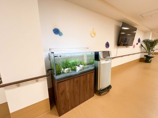 熱帯魚の水槽と設備のある廊下