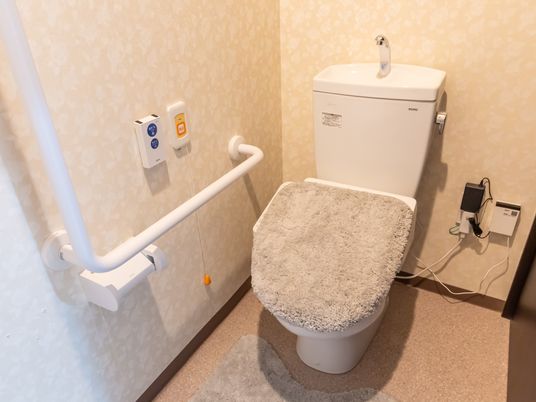 手すり付きのトイレ