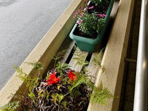 植栽のある外廊下  